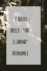 银川：夏日“塞上湖城”美如画