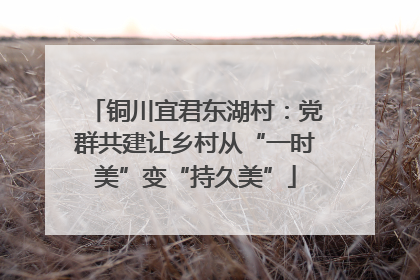 铜川宜君东湖村：党群共建让乡村从“一时美”变“持久美”