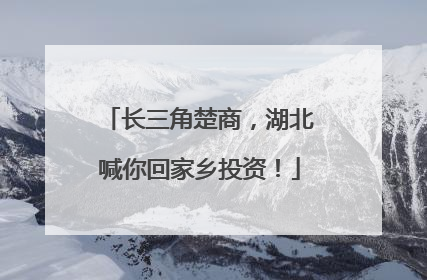 长三角楚商，湖北喊你回家乡投资！