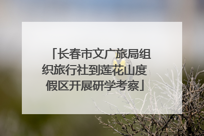 长春市文广旅局组织旅行社到莲花山度假区开展研学考察
