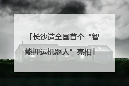 长沙造全国首个“智能押运机器人”亮相