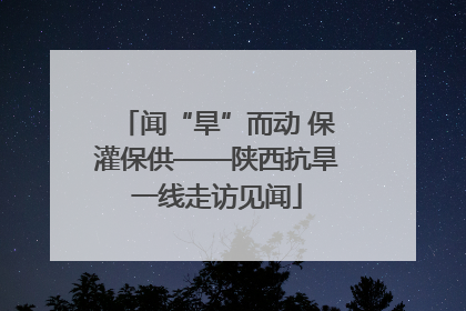 闻“旱”而动 保灌保供——陕西抗旱一线走访见闻