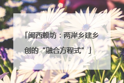 闽西赖坊：两岸乡建乡创的“融合方程式”