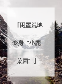 闲置荒地变身“小鹿菜园”