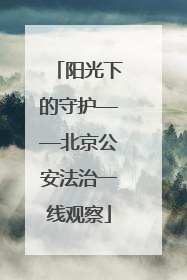 阳光下的守护——北京公安法治一线观察