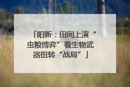 阳新：田间上演“虫粮博弈”看生物武器扭转“战局”