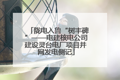陇电入鲁“树丰碑”——电建核电公司建设灵台电厂项目并网发电侧记
