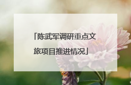 陈武军调研重点文旅项目推进情况