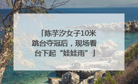 陈芋汐女子10米跳台夺冠后，现场看台下起“娃娃雨”