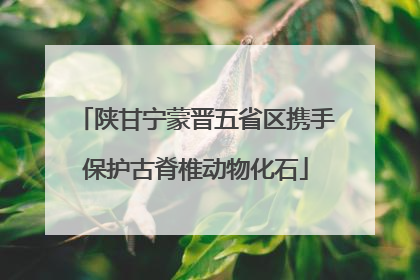 陕甘宁蒙晋五省区携手保护古脊椎动物化石