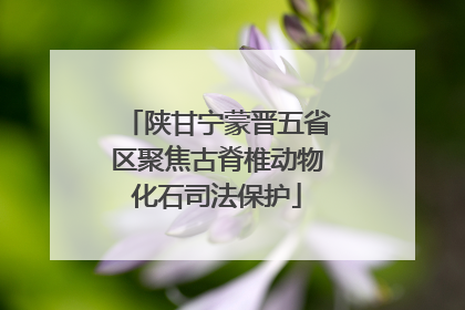 陕甘宁蒙晋五省区聚焦古脊椎动物化石司法保护