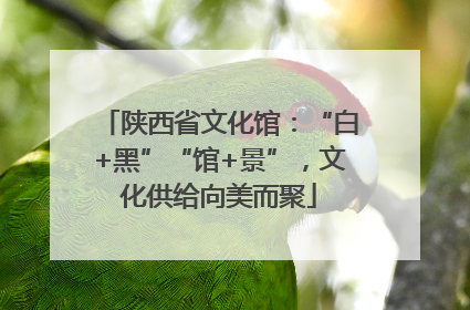 陕西省文化馆：“白+黑”“馆+景”，文化供给向美而聚