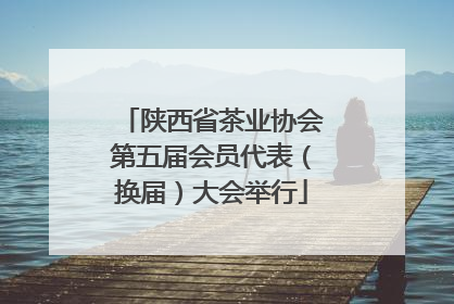 陕西省茶业协会第五届会员代表（换届）大会举行