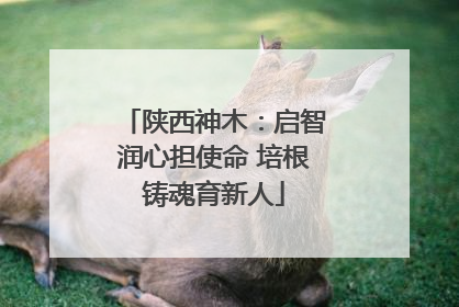 陕西神木：启智润心担使命 培根铸魂育新人