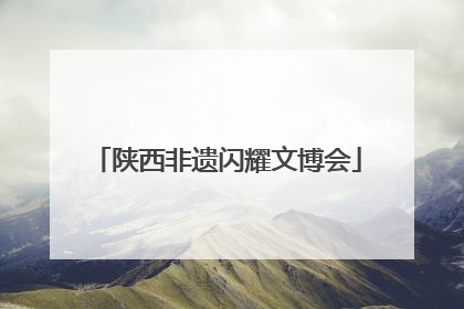 陕西非遗闪耀文博会