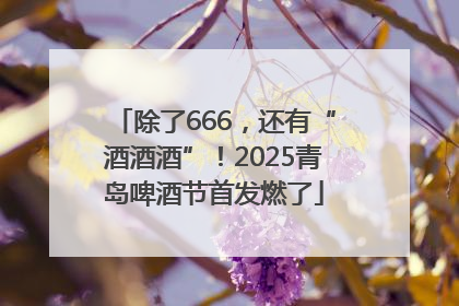 除了666，还有“酒酒酒”！2025青岛啤酒节首发燃了