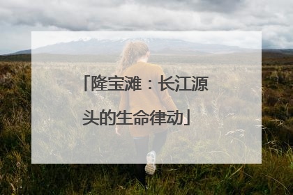 隆宝滩：长江源头的生命律动