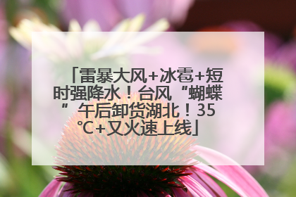 雷暴大风+冰雹+短时强降水！台风“蝴蝶”午后卸货湖北！35℃+又火速上线