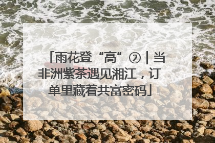 雨花登“高”②｜当非洲紫茶遇见湘江，订单里藏着共富密码