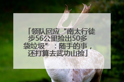 领队回应“南太行徒步56公里捡出50多袋垃圾”：随手的事，还打算去武功山捡