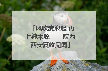 风吹麦浪起 再上神禾塬——陕西西安夏收见闻