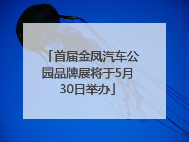 首届金凤汽车公园品牌展将于5月30日举办