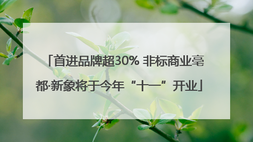 首进品牌超30% 非标商业亳都·新象将于今年“十一”开业