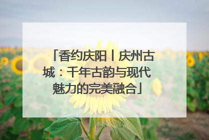 香约庆阳丨庆州古城：千年古韵与现代魅力的完美融合