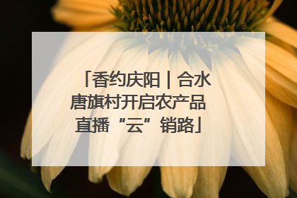香约庆阳｜合水唐旗村开启农产品直播“云”销路