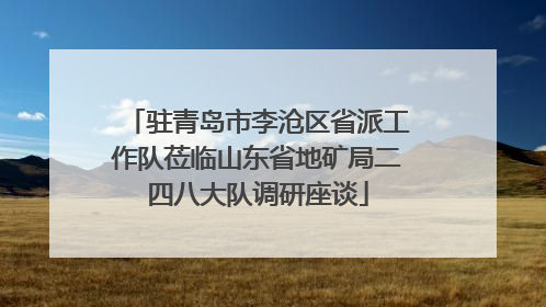 驻青岛市李沧区省派工作队莅临山东省地矿局二四八大队调研座谈