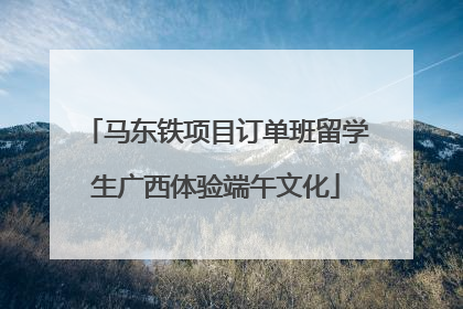 马东铁项目订单班留学生广西体验端午文化