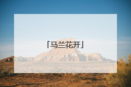 马兰花开
