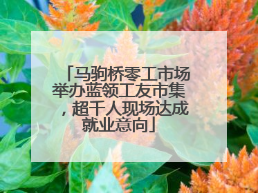 马驹桥零工市场举办蓝领工友市集，超千人现场达成就业意向