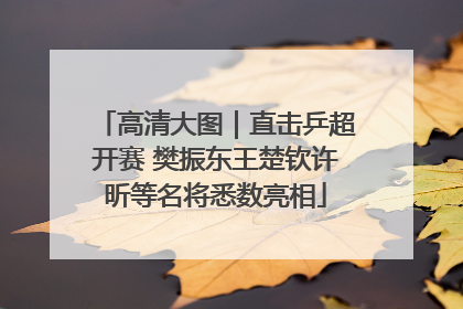 高清大图｜直击乒超开赛 樊振东王楚钦许昕等名将悉数亮相