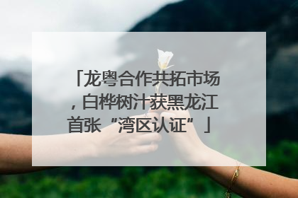 龙粤合作共拓市场，白桦树汁获黑龙江首张“湾区认证”