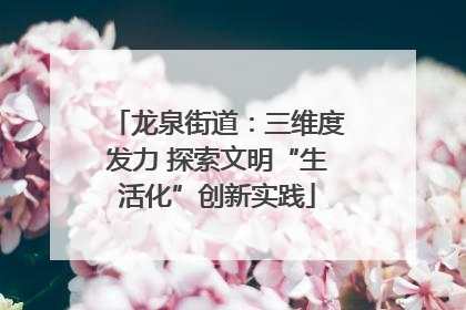 龙泉街道：三维度发力 探索文明“生活化”创新实践