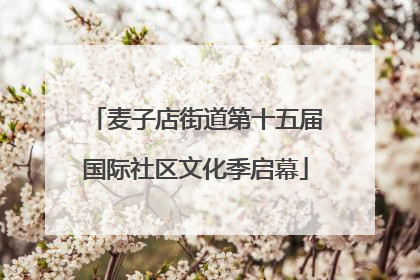 麦子店街道第十五届国际社区文化季启幕
