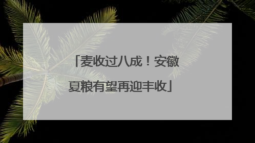 麦收过八成！安徽夏粮有望再迎丰收