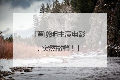 黄晓明主演电影，突然撤档！