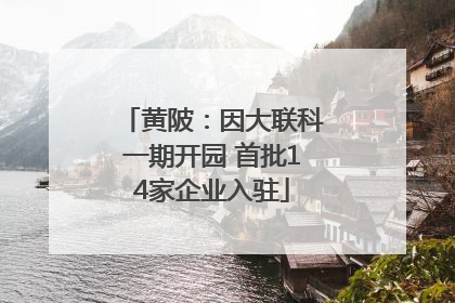 黄陂：因大联科一期开园 首批14家企业入驻