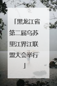 黑龙江省第二届乌苏里江界江联盟大会举行