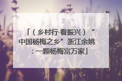（乡村行·看振兴）“中国杨梅之乡”浙江余姚：一颗杨梅富万家