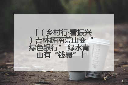 （乡村行·看振兴）吉林辉南荒山变“绿色银行” 绿水青山有“钱景”