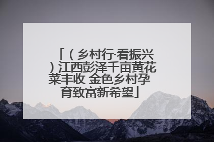 （乡村行·看振兴）江西彭泽千亩黄花菜丰收 金色乡村孕育致富新希望