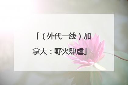 （外代一线）加拿大：野火肆虐