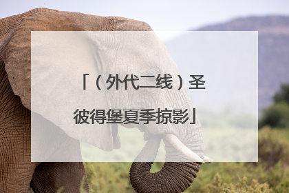 （外代二线）圣彼得堡夏季掠影