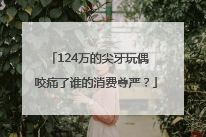 124万的尖牙玩偶 咬痛了谁的消费尊严？