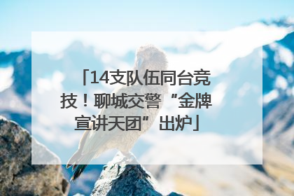 14支队伍同台竞技！聊城交警“金牌宣讲天团”出炉