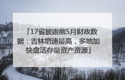 17省披露前5月财政数据：吉林增速最高，多地加快盘活存量资产资源