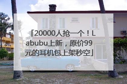 20000人抢一个！Labubu上新，原价99元的耳机包上架秒空